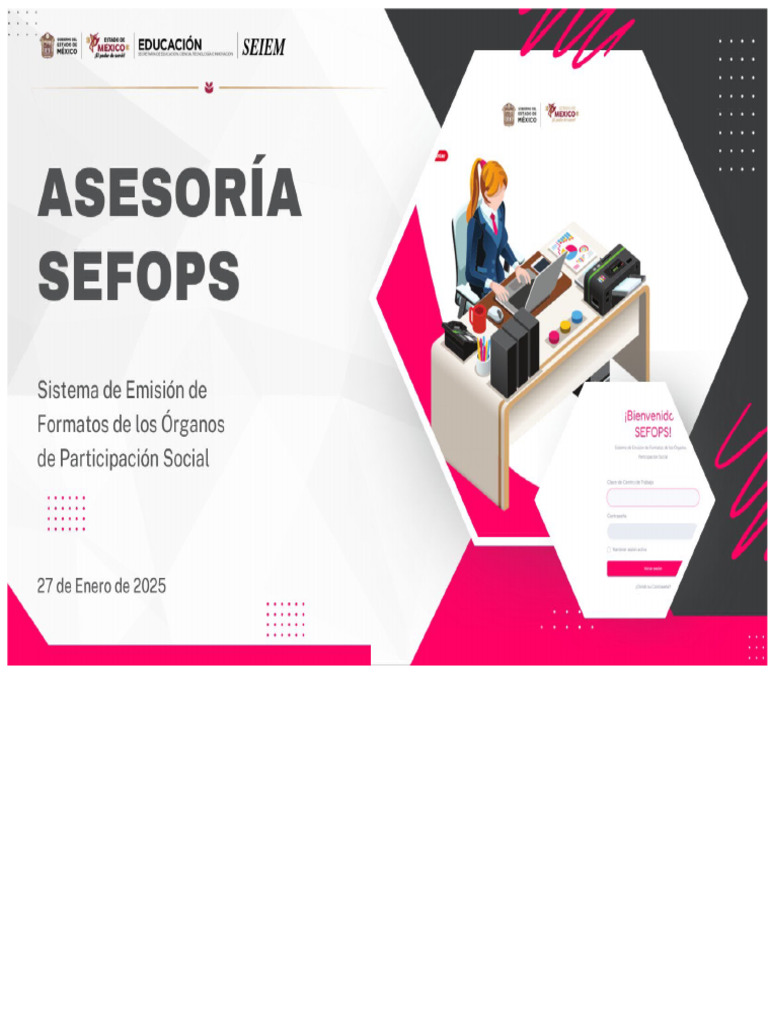 Acesso e Atualização no Sistema Sefops | PDF
