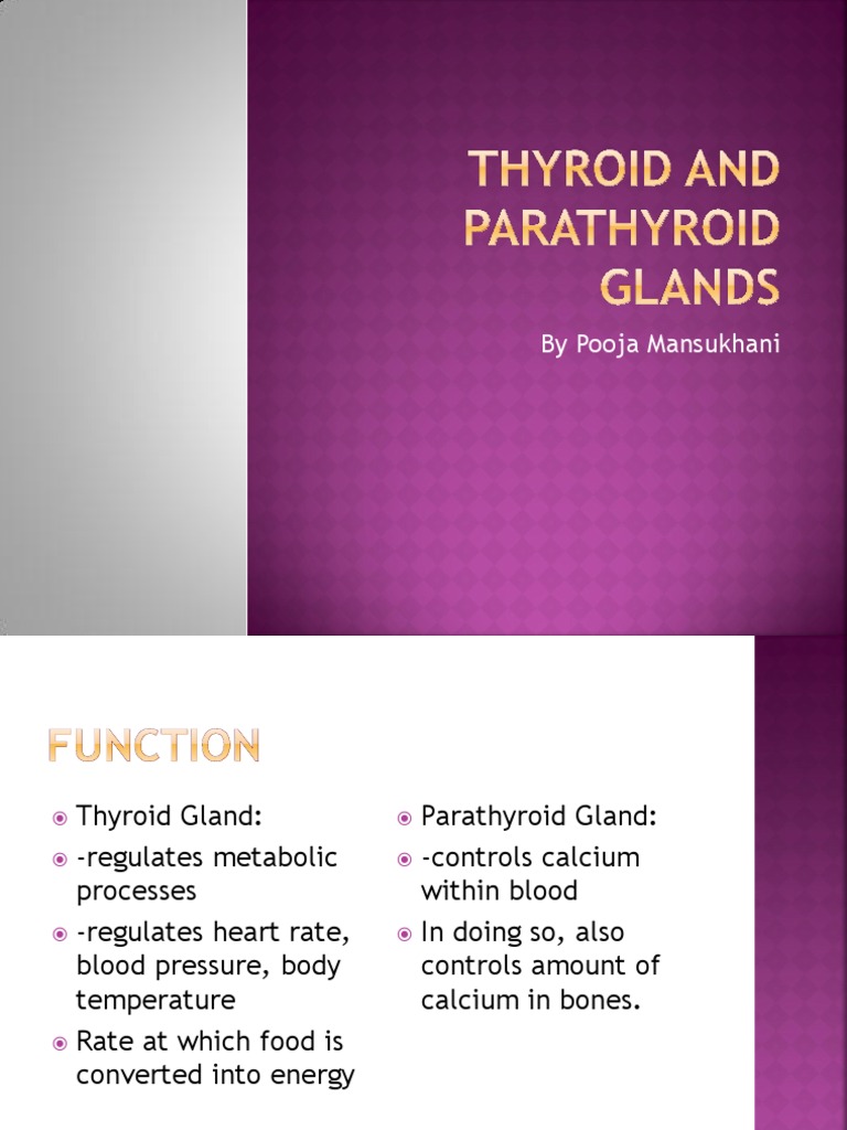 Thyroid and Parathyroid Glands | PDF | Thyroid | Thyroid Stimulating ...