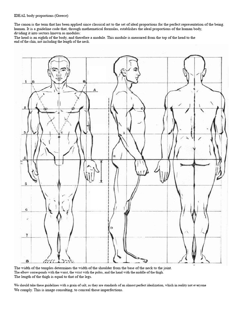 IDEAL Body Proportions | PDF