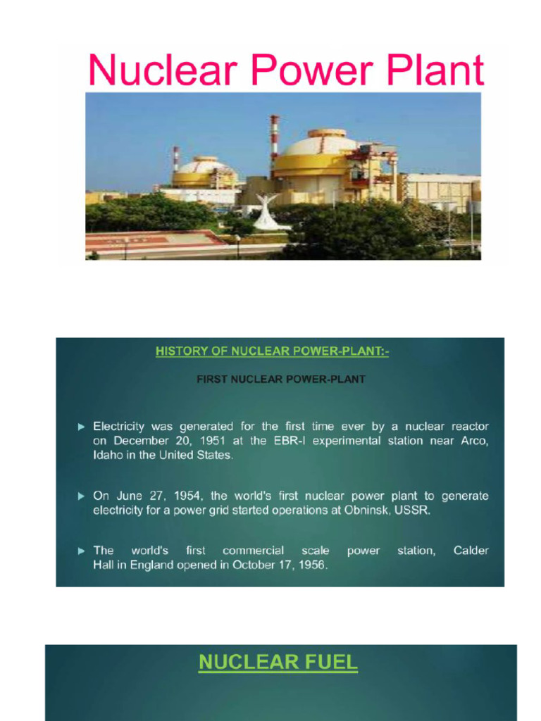 Nuclear Power Plant | PDF