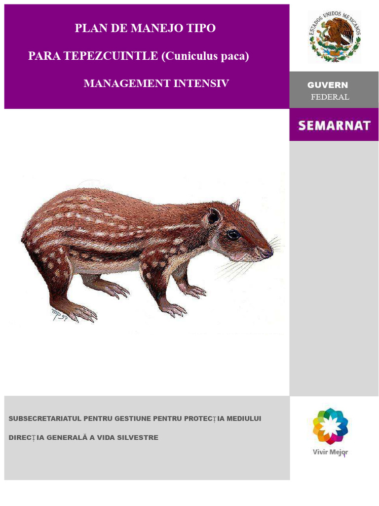 Plan de Gestion Pentru Tepezcuintle | PDF