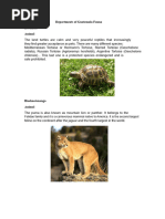 Average Monkey Weight by Age | PDF | Monkey