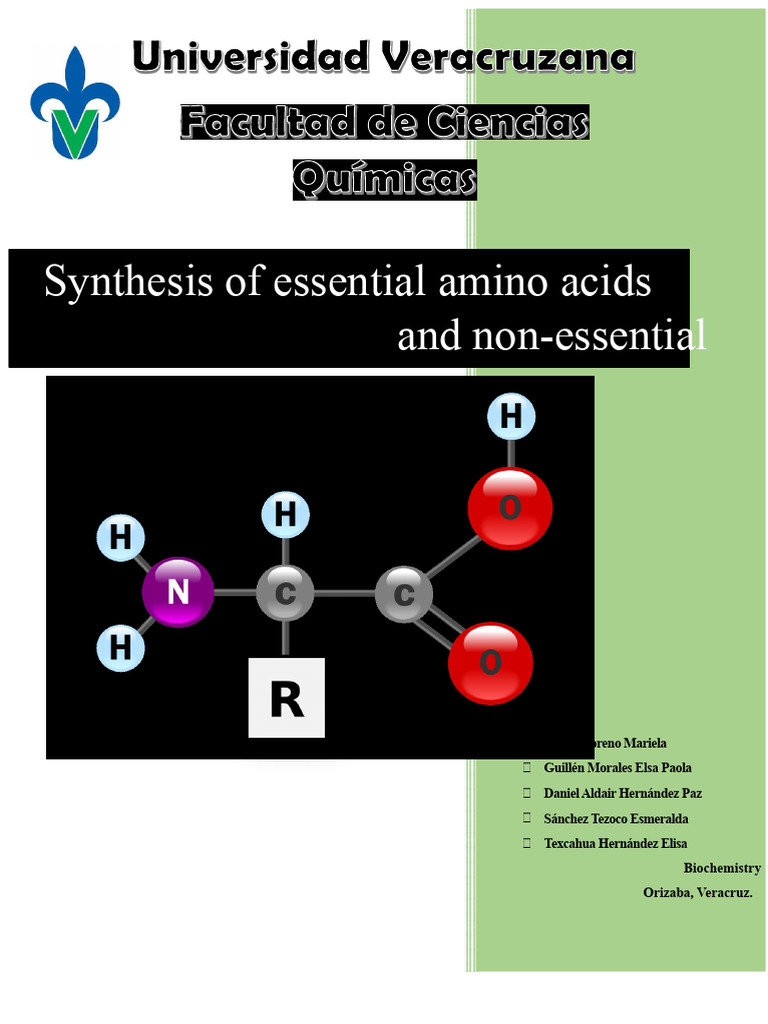 Essential and Non-Essential Amino Acids | PDF | Biosynthesis | Amino Acid