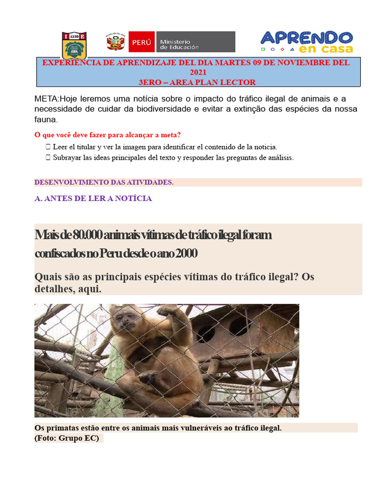 Tráfico Ilegal de Animais no Peru: Impactos | PDF | Zoologia | Biologia
