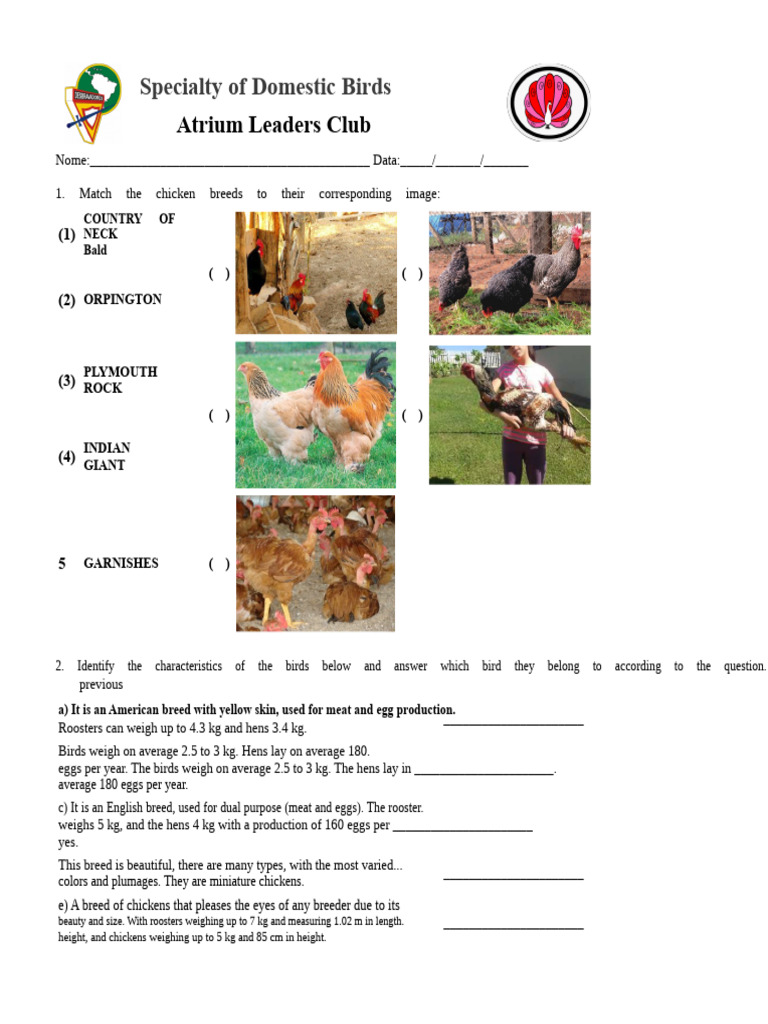 Test of the Specialty of Domestic Birds | PDF | Chicken | Birds