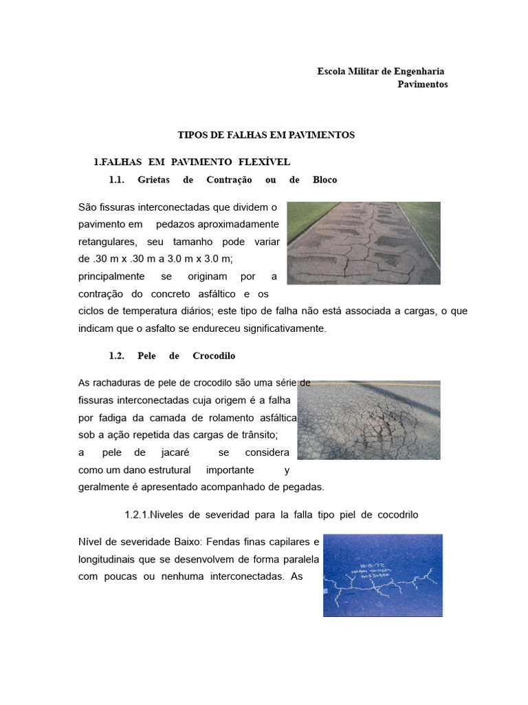 Tipos de Falhas em Pavimentos Asfálticos | PDF | Falha (Geologia) | Tráfego