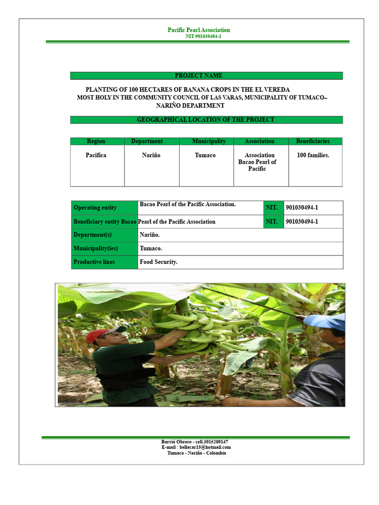 Banana Cultivation Project in Tumaco | PDF | Agriculture | Banana