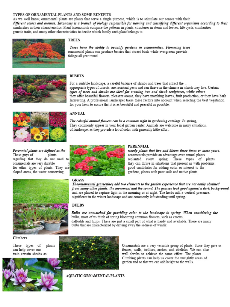Types of Ornamental Plants and Some Benefits | PDF | Trees | Plants
