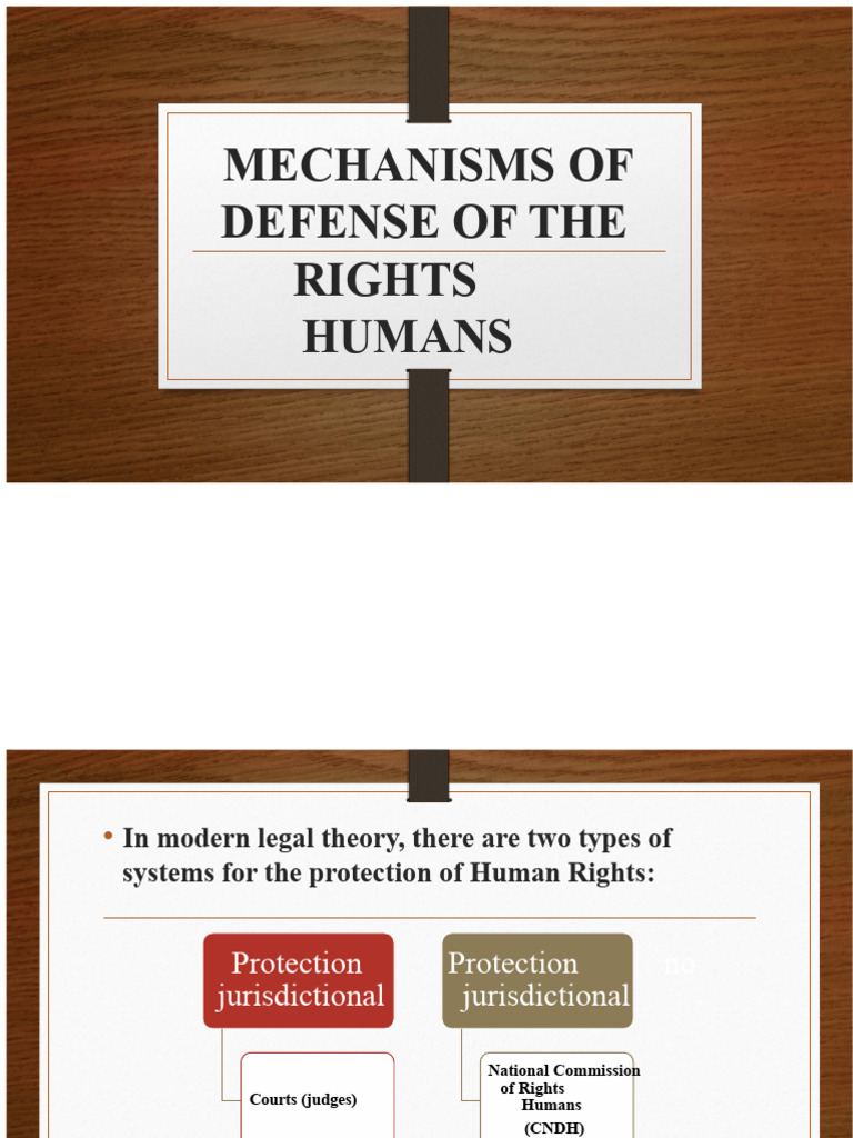 Human Rights Protection Mechanisms in Mexico | PDF | Human Rights | Treaty