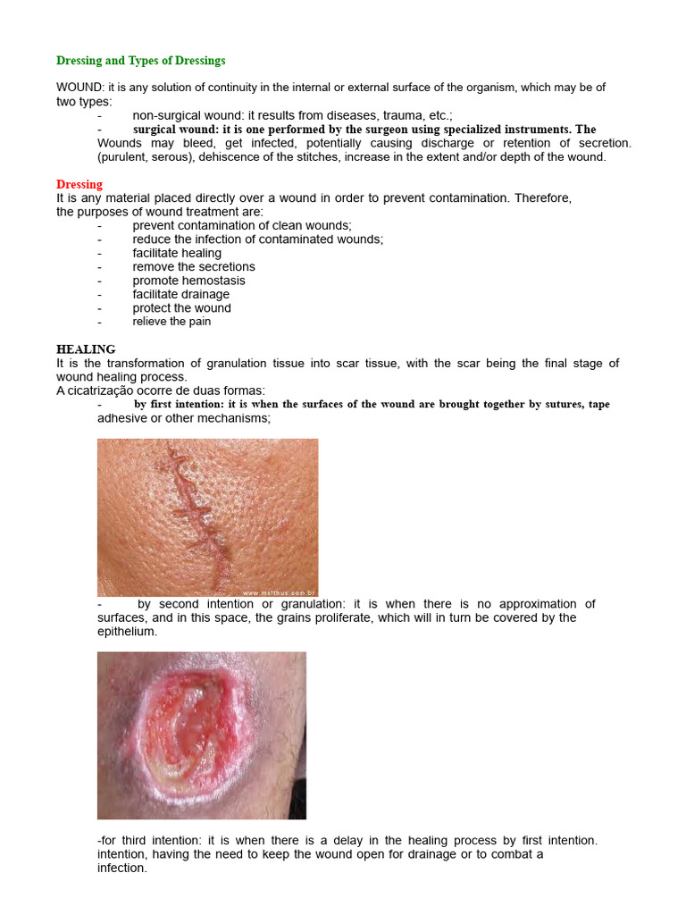 Types and Techniques of Wound Dressings | PDF | Wound | Wound Healing