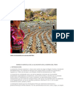 Cultivo de alcachofa en la serranía del PERU