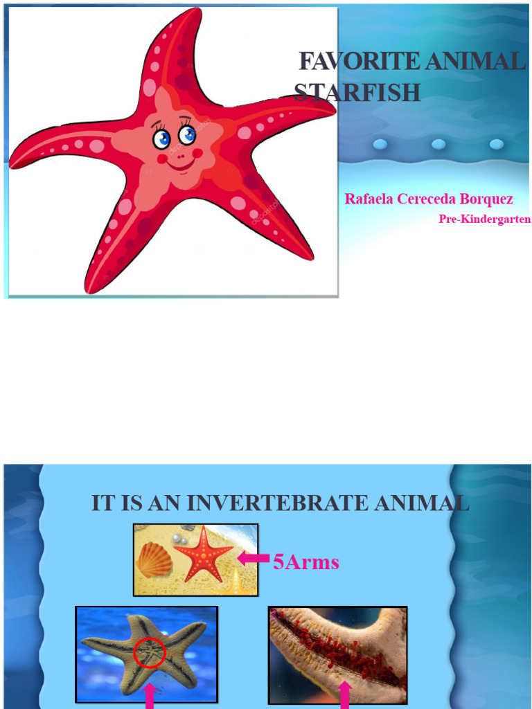presentation Rafaela STARFISH | PDF