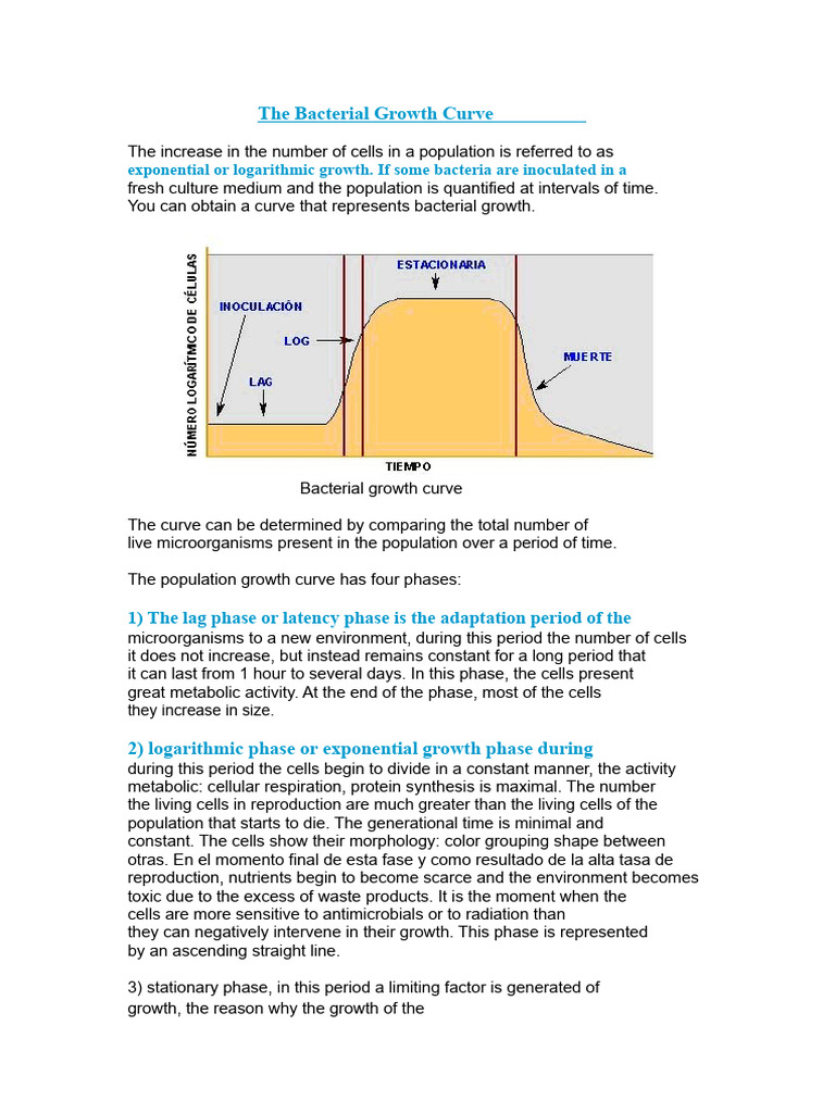 Understanding the Bacterial Growth Curve | PDF | Bacteria | Biology