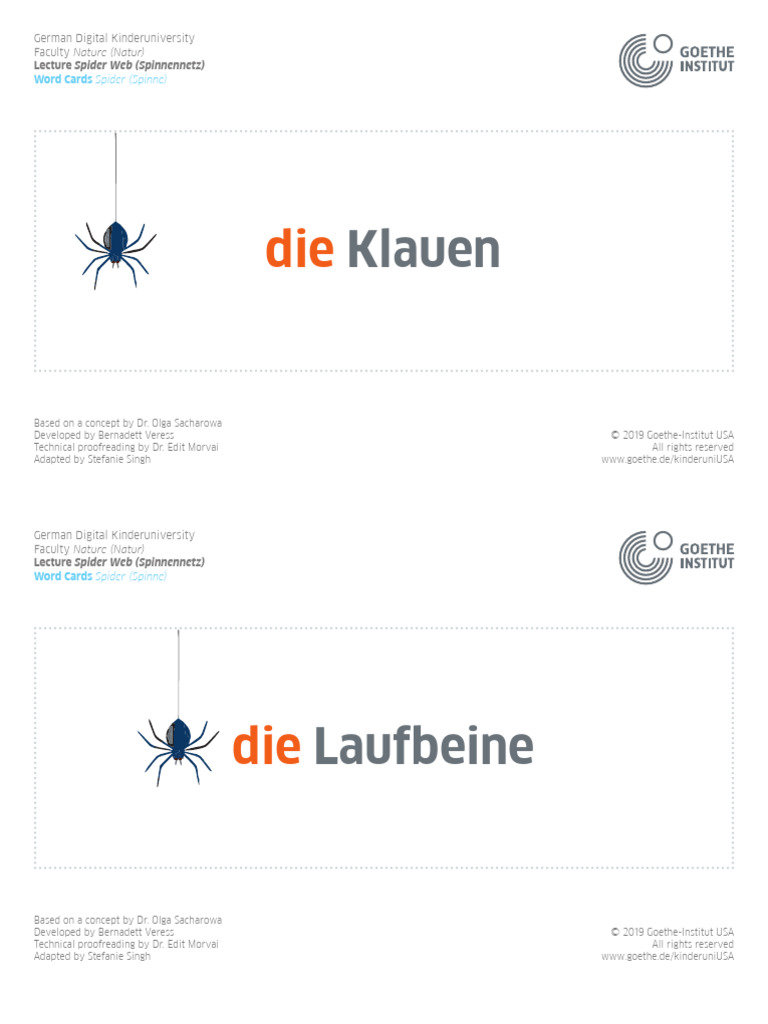 Spider Web Lecture Materials for Kids | PDF | Arthropods | Spider