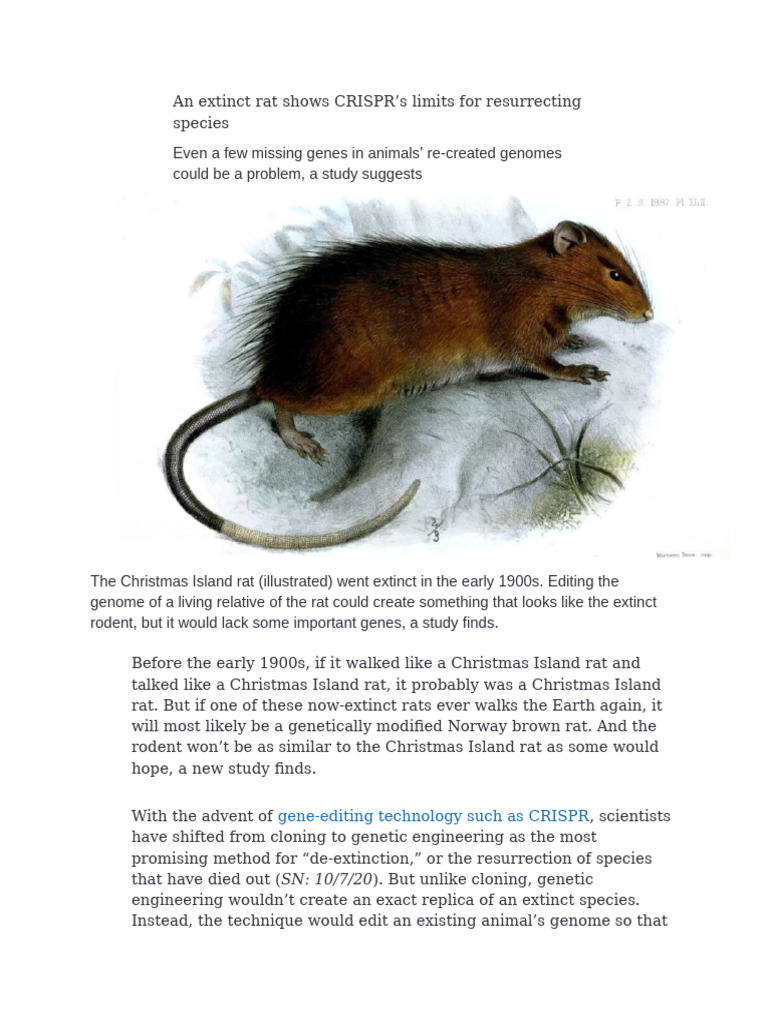 An Extinct Rat Shows CRISPR's Limits For Resurrecting Specie | PDF ...