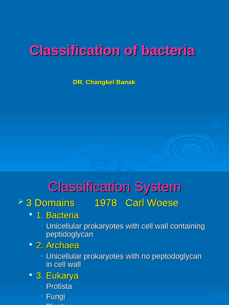 Classification of Bacteria | PDF | Bacteria | Gram Positive Bacteria
