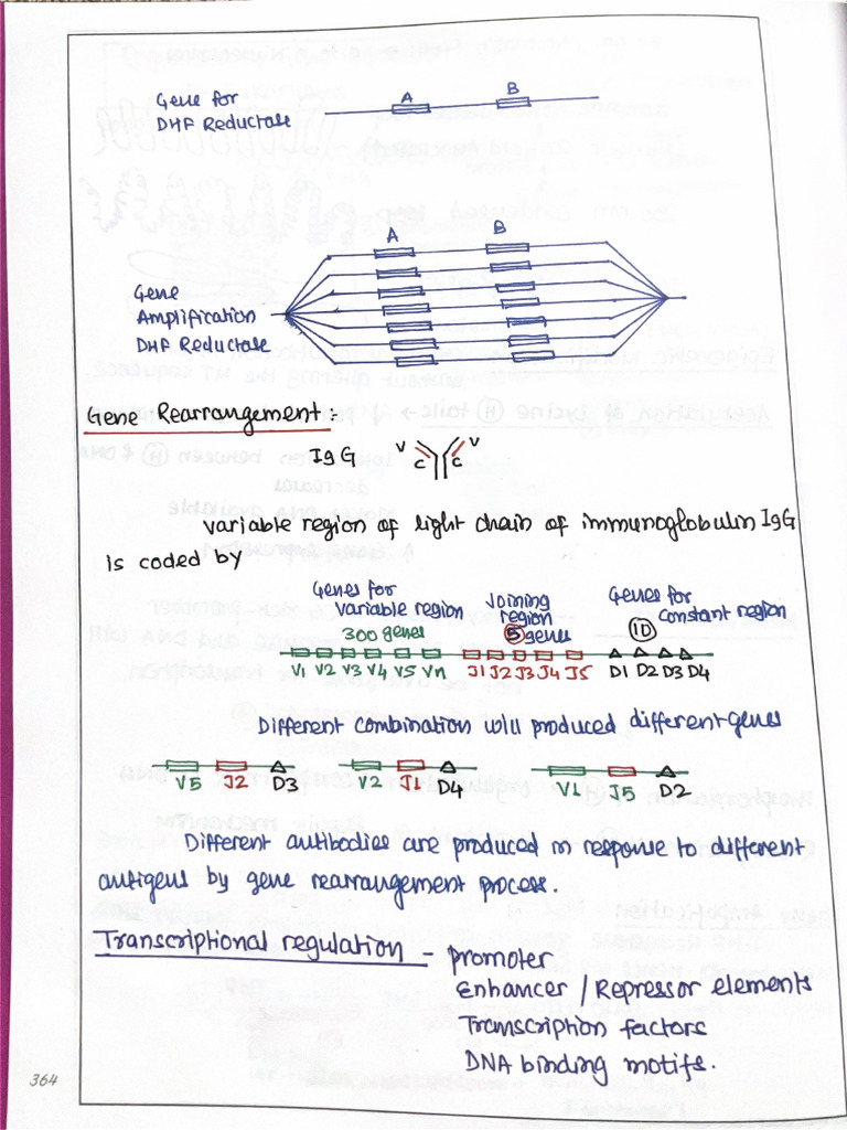 Mol Bio 3 | PDF