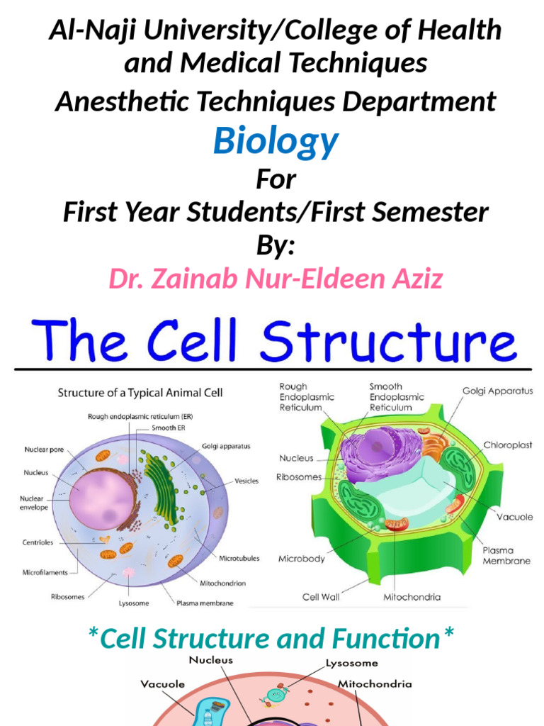 Cell Structure and Function Overview | PDF | Endoplasmic Reticulum ...