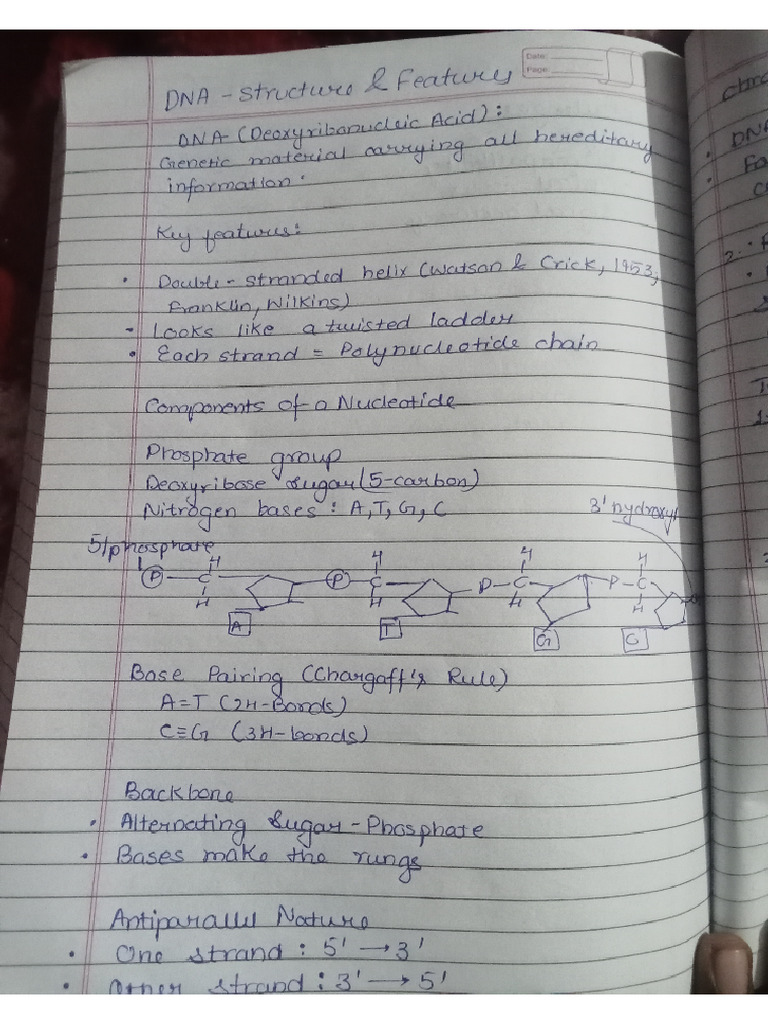 Chapter 1 Unit 3 Short Note | PDF