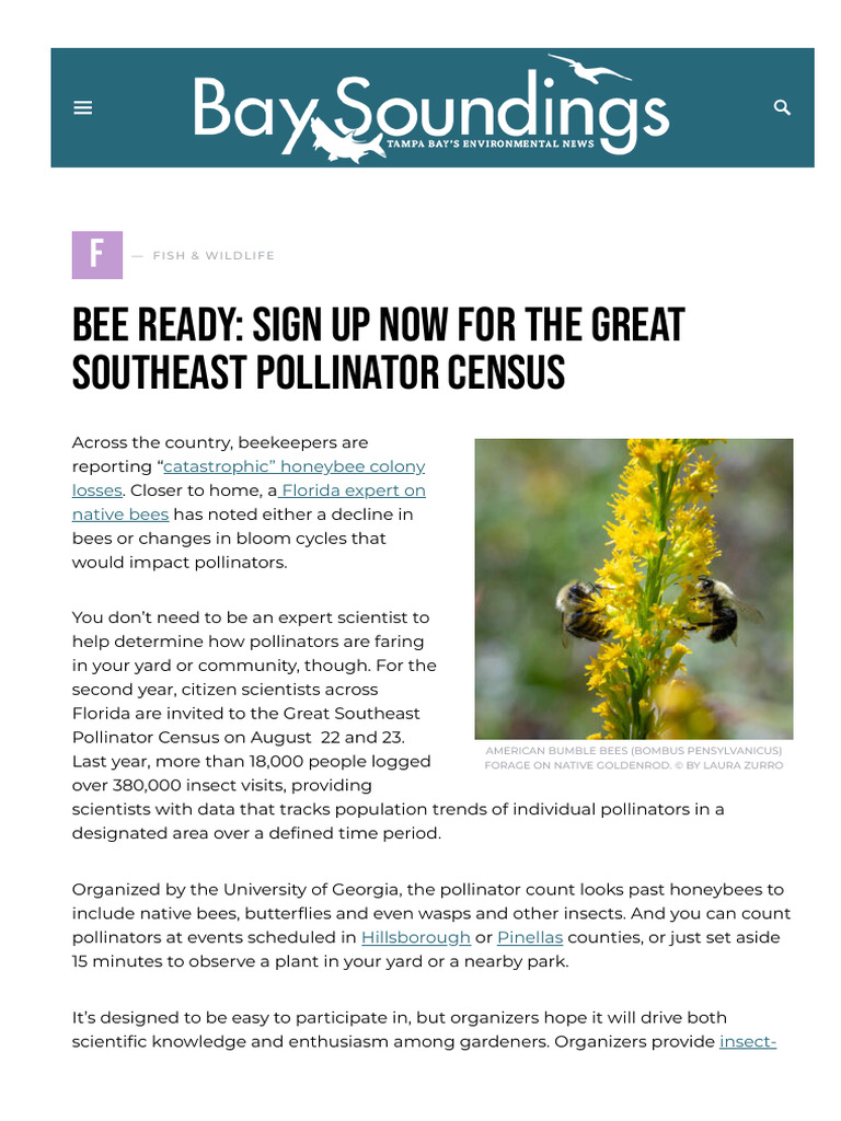 Baysoundings Com Bee Ready Sign Up Now For The Great Southeast ...