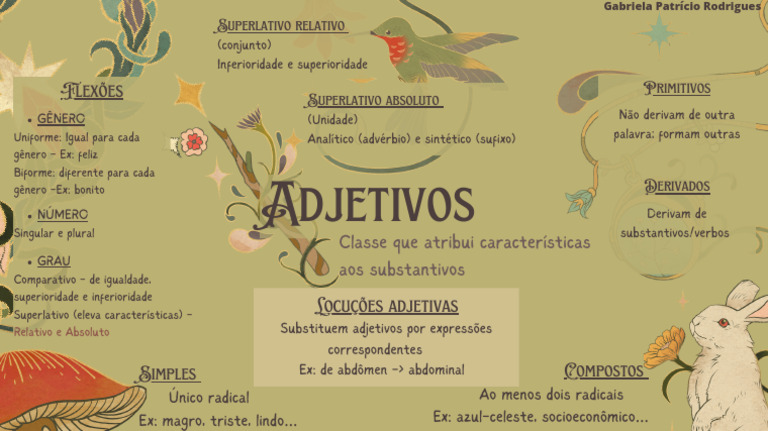Tipos e Flexões de Adjetivos | PDF