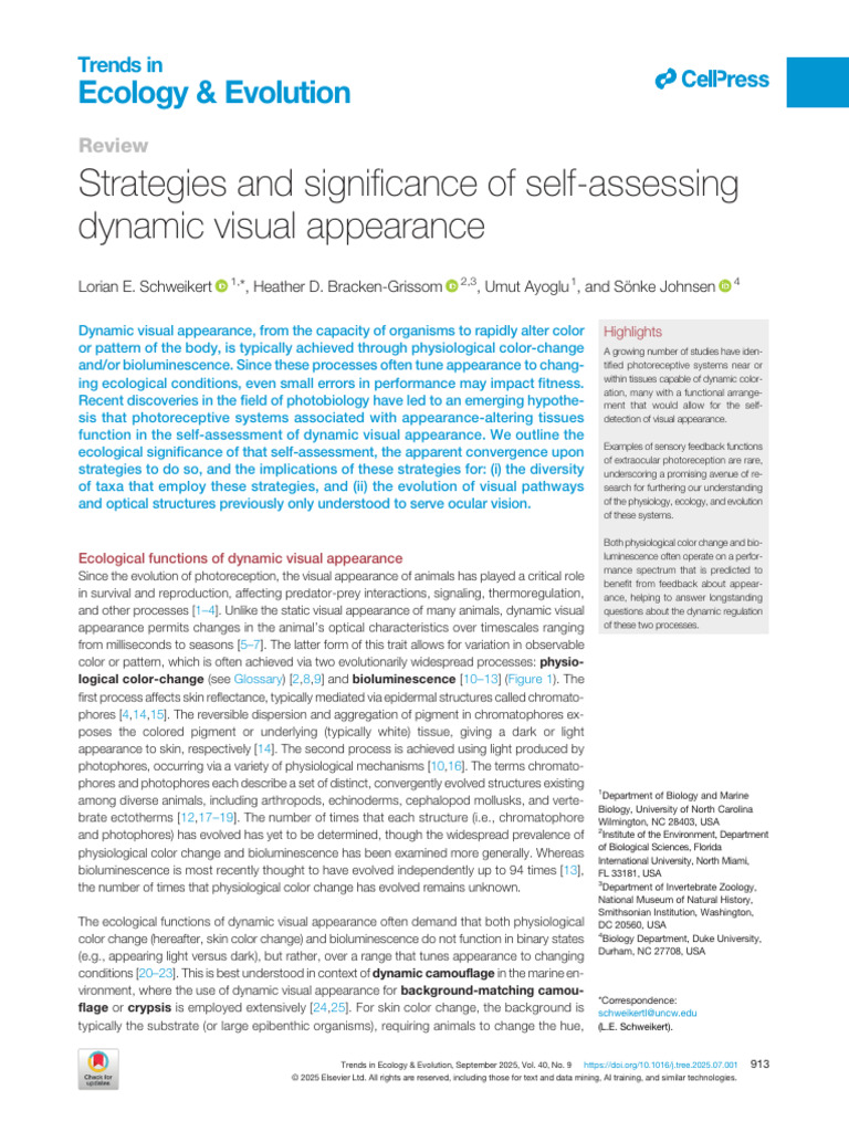 Self-Assessment in Dynamic Visual Appearance | PDF | Eye | Retina