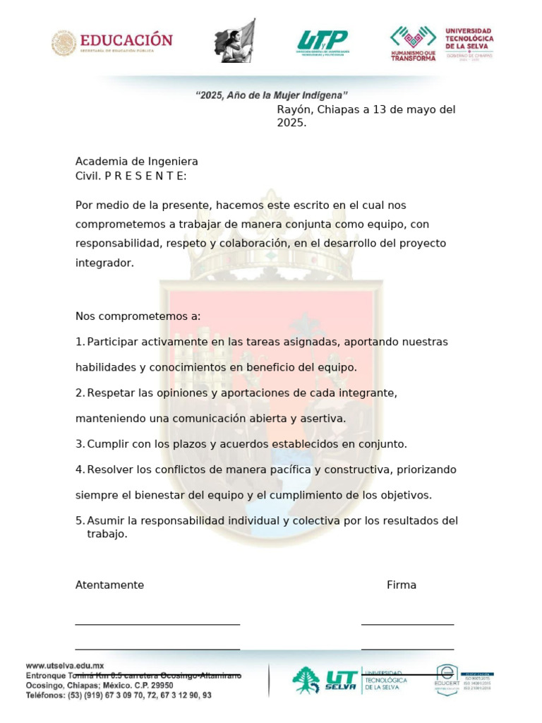 Compromiso de Trabajo en Equipo | PDF