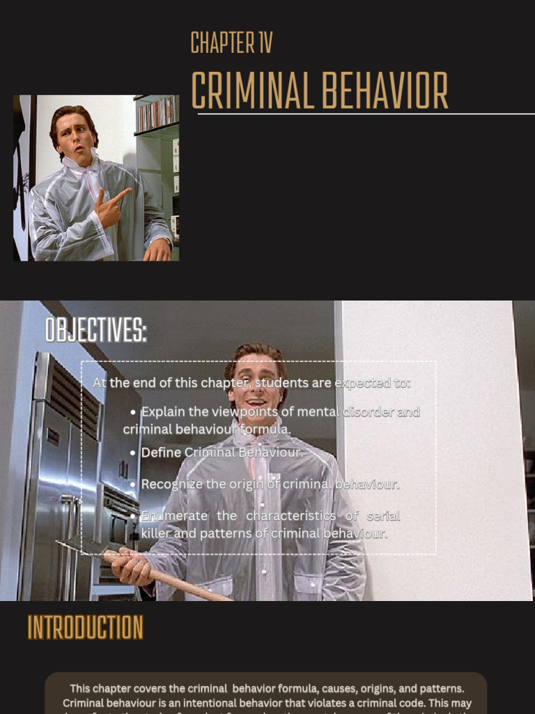 Understanding Criminal Behavior Patterns | PDF | Crimes | Crime & Violence