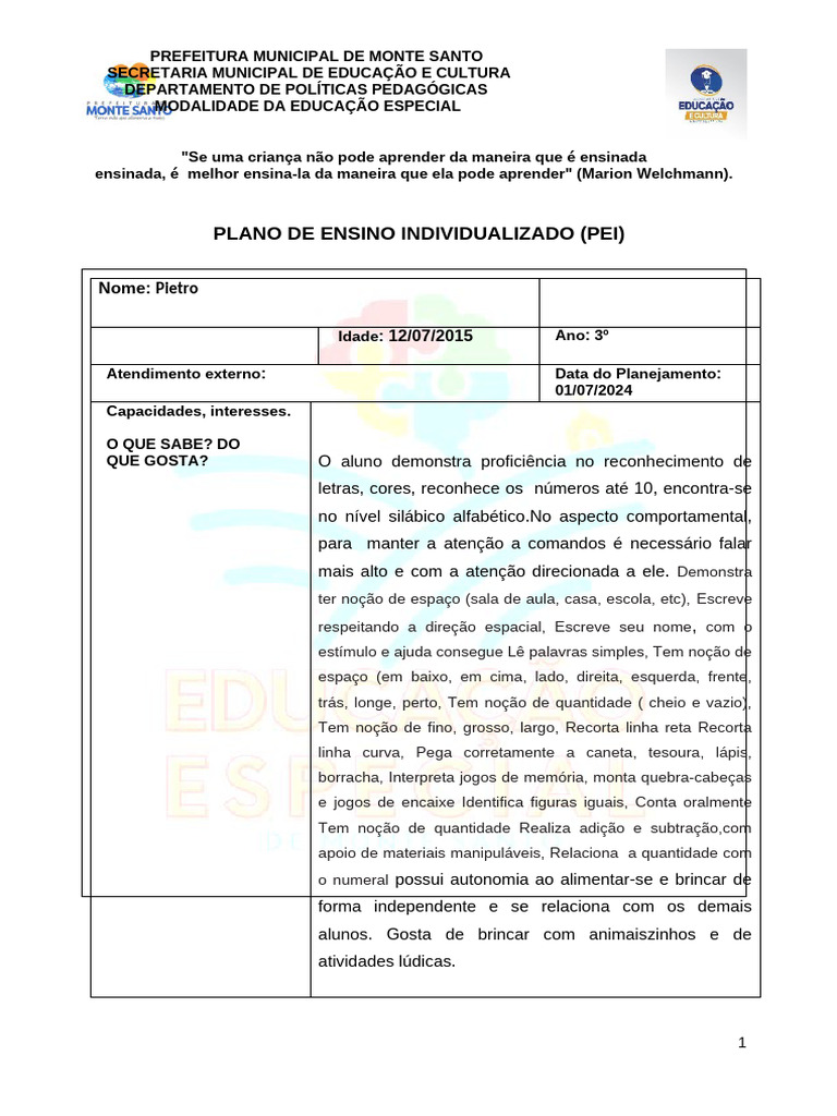 Plano de Ensino Individualizado para PEI | PDF | Educação Especial ...