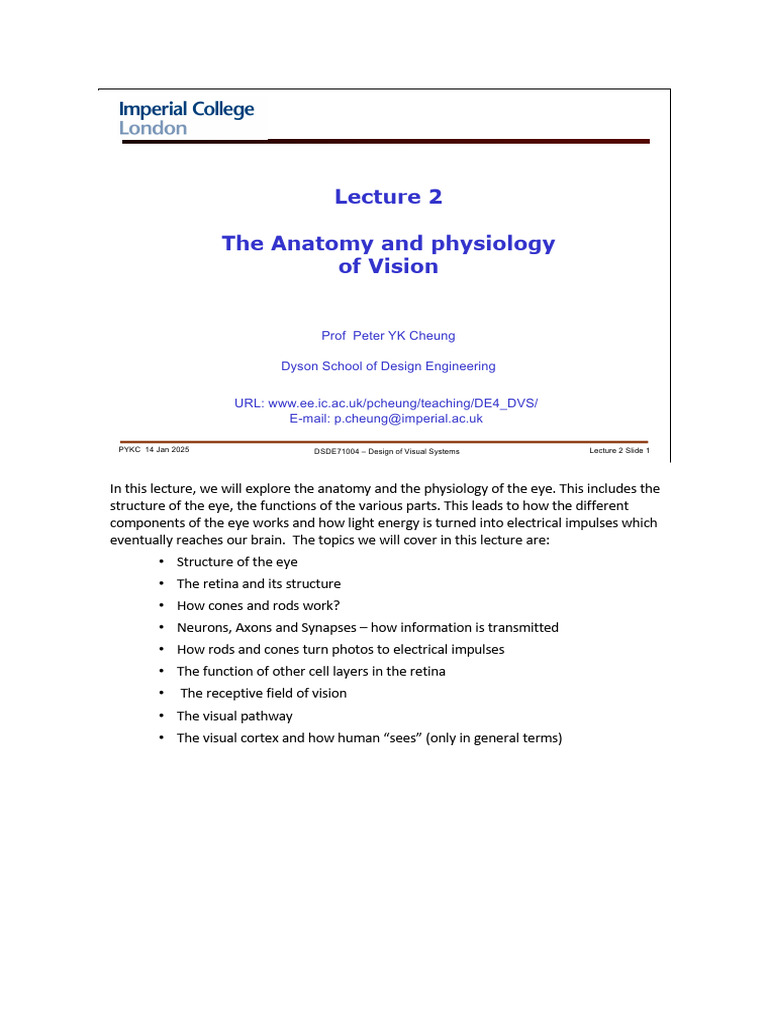 Anatomy and Physiology of the Eye | PDF | Visual Cortex | Retina