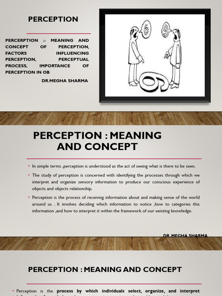 Perception IIIT (1) | PDF | Perception | Stereotypes