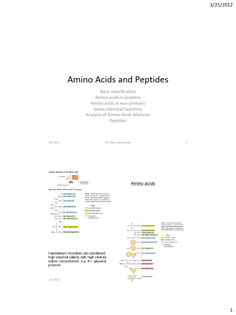 Amino Acids and Peptides Overview | PDF | Amino Acid | Cysteine