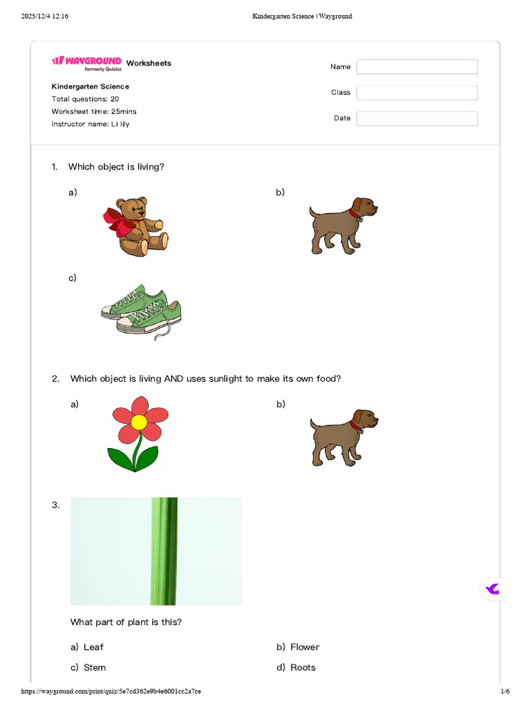 Kindergarten Science Worksheets | PDF | Planets | Foods