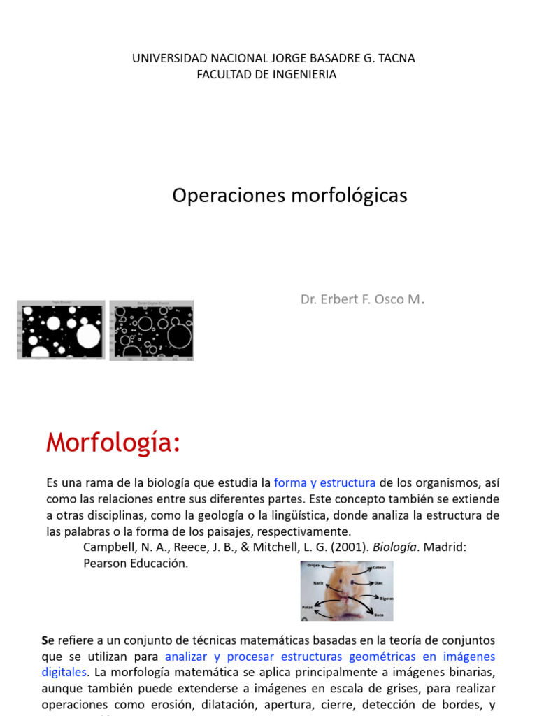 Técnicas de Operaciones Morfológicas | PDF | Matemáticas Aplicadas