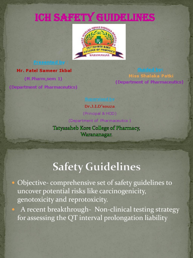 Ich Safety Guidelines Presented By Guided by Download Free PDF
