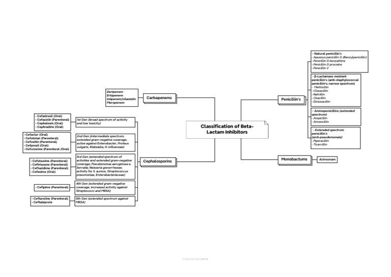 Beta-Lactam Inhibitors Classification Guide | PDF | Penicillin ...