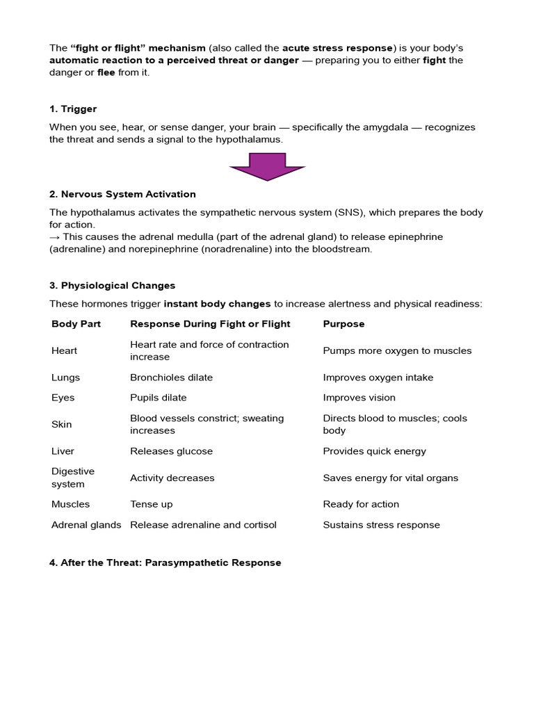 Understanding the Fight or Flight Response | PDF