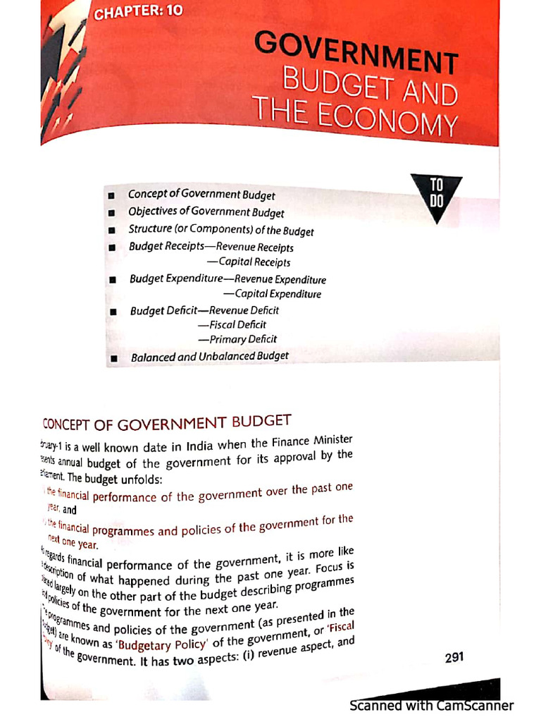 Government Budget | PDF