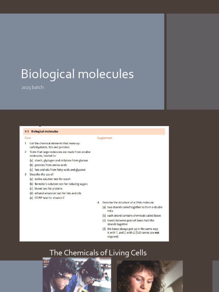 Understanding Biological Molecules | PDF | Carbohydrates | Glucose