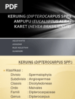 Download Dendrologi - Keruing Ampupu Karet by Agus Yanto SN96128184 doc pdf