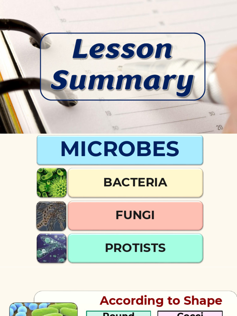 8-Summary of Microbes | PDF