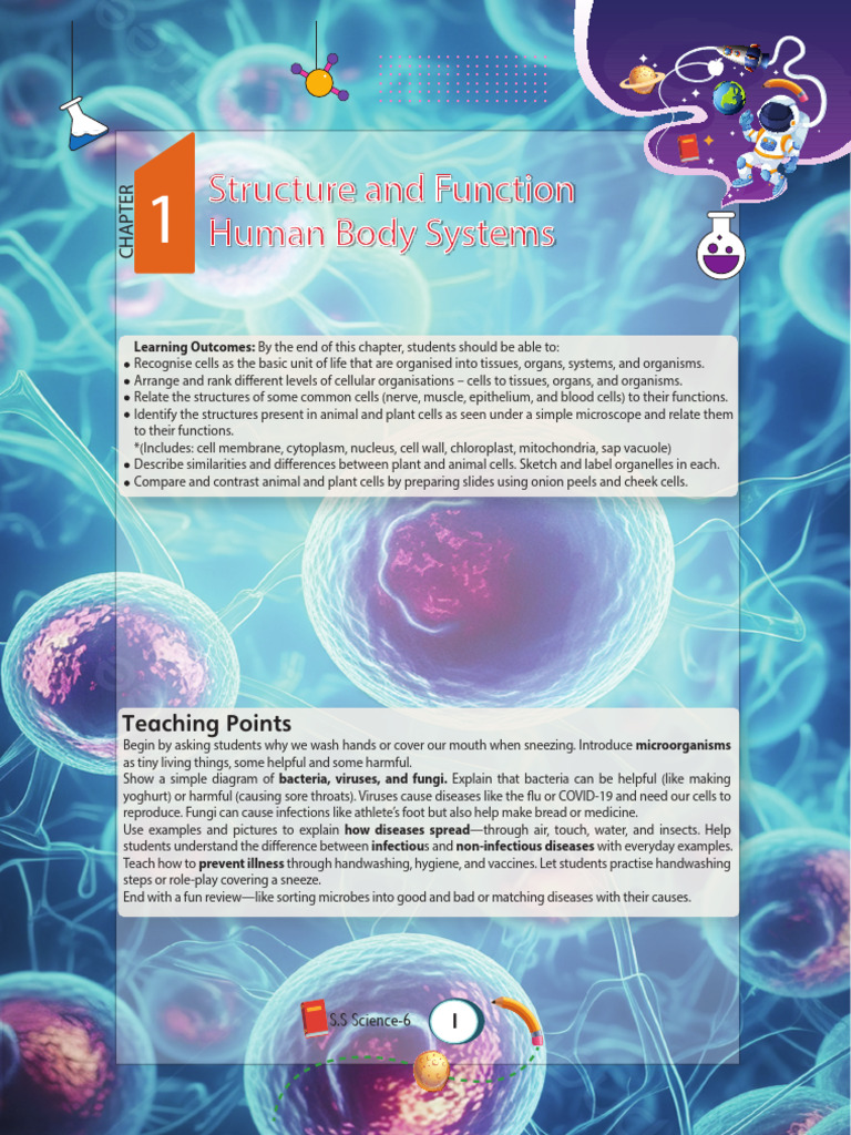 Understanding Cell Structure and Function | PDF | Cell (Biology ...