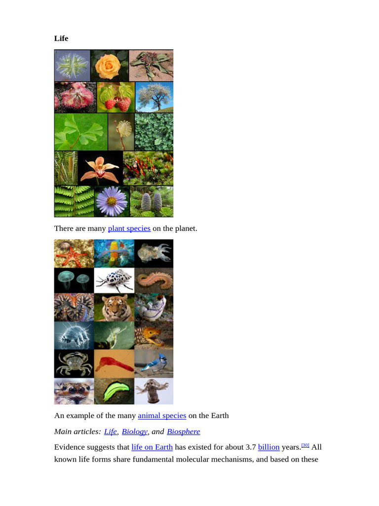 Understanding Earth's Biodiversity and Ecosystems | PDF | Life ...