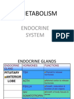 Metabolism: Endocrine System