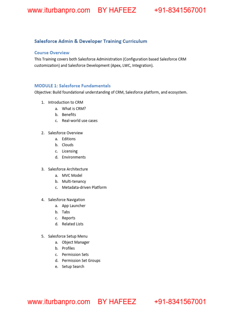 Salesforce Admin & Developer Training Guide | PDF | Customer ...