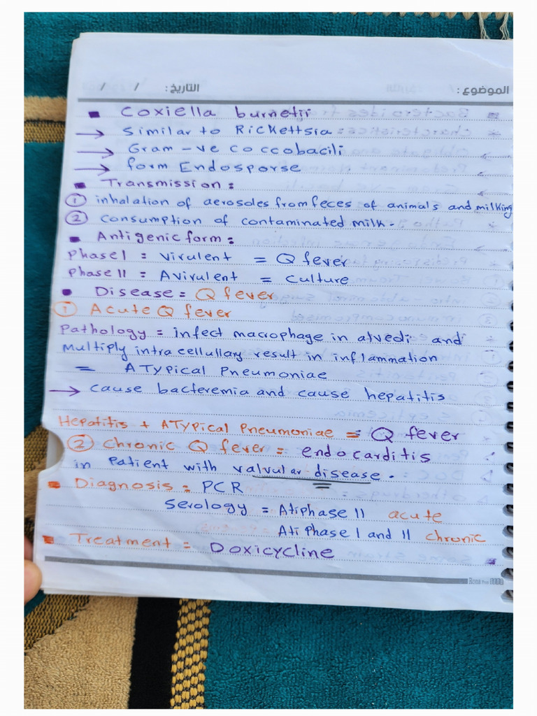 Notes 251205 102530 | PDF