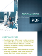 Zooplankton