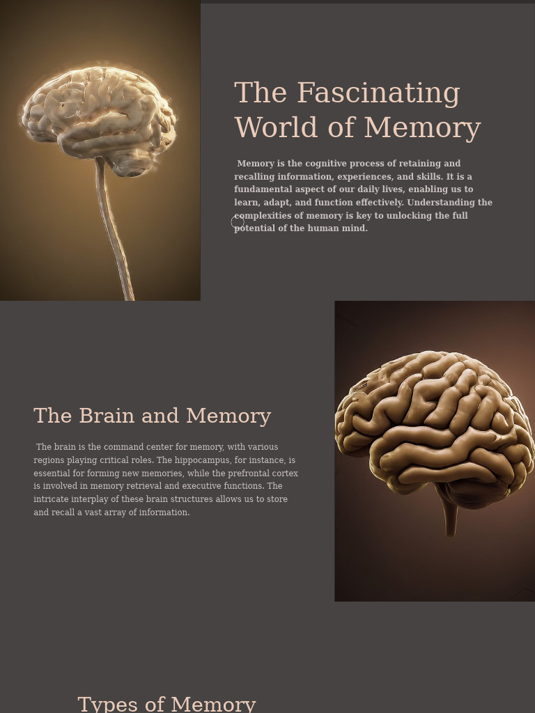 Understanding Memory: Types and Factors | PDF | Memory | Long Term Memory