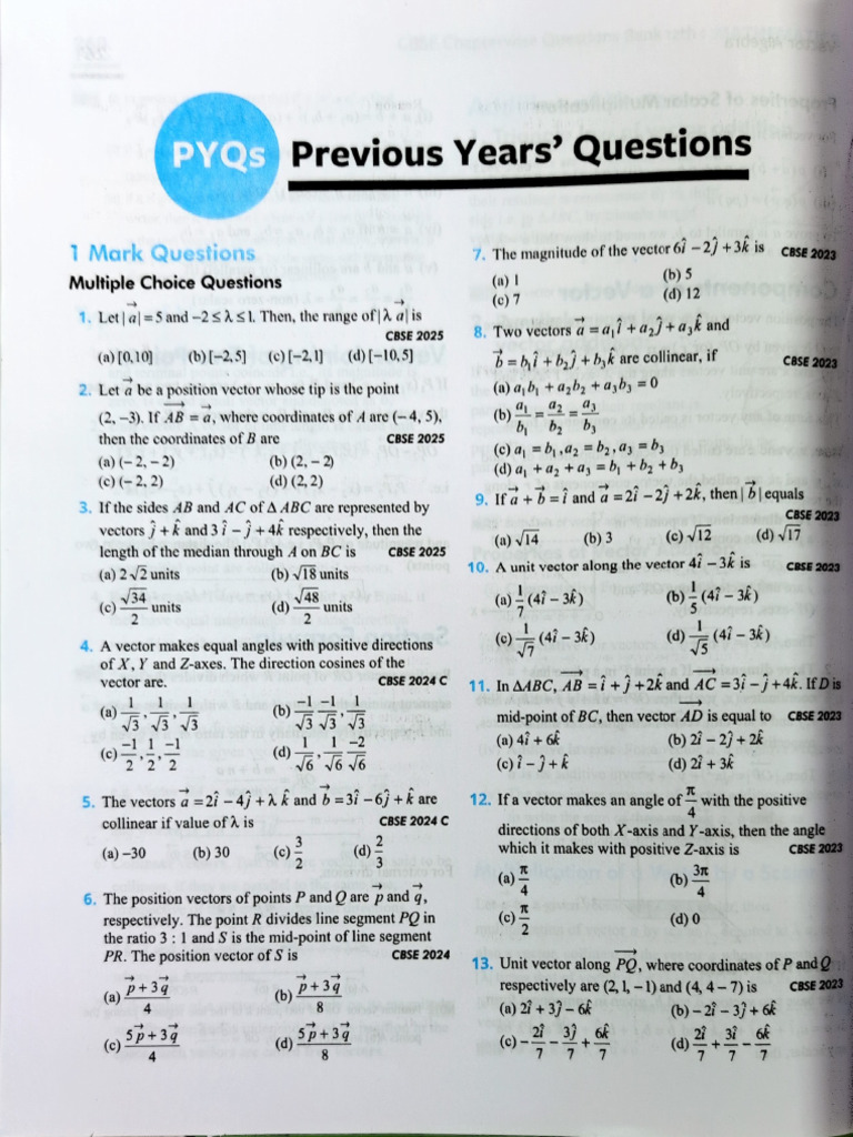Vector Algebra Questions for CBSE 2025 | PDF | Euclidean Vector ...