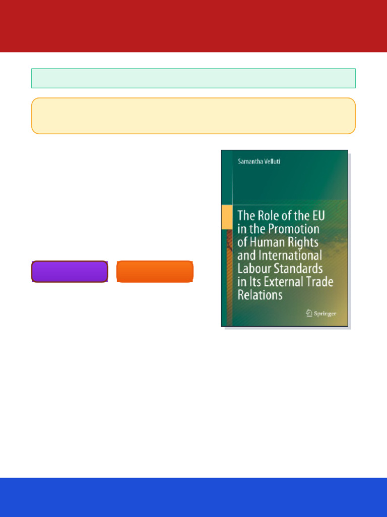 The Role of the EU in the Promotion of Human Rights and International ...